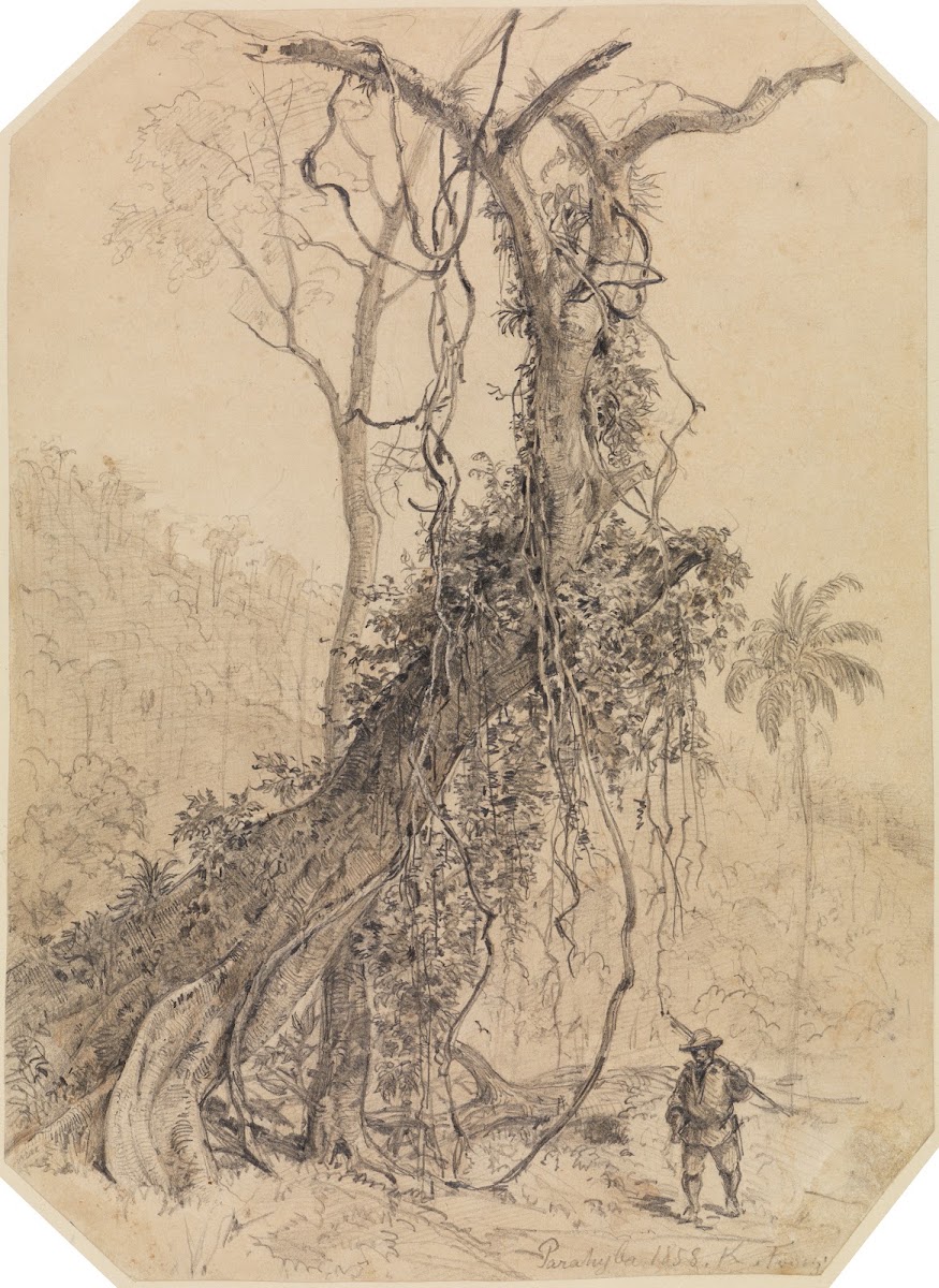 Jäger im Urwald 1858