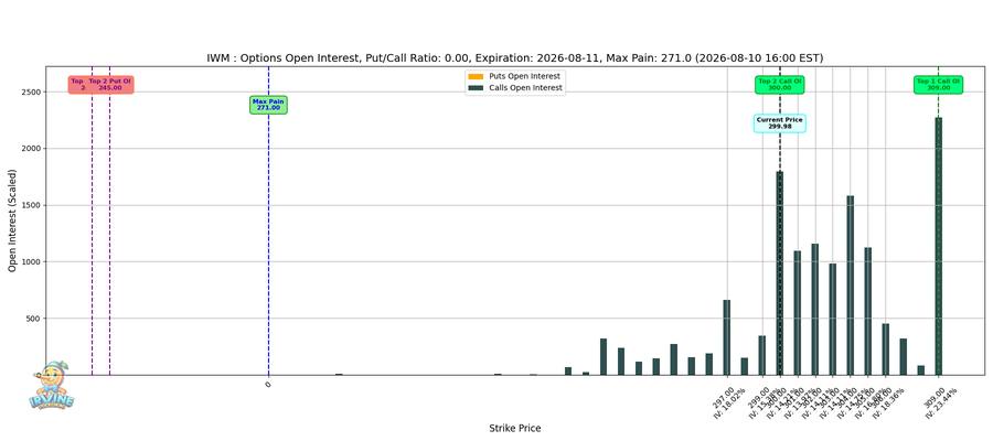 IWM Options