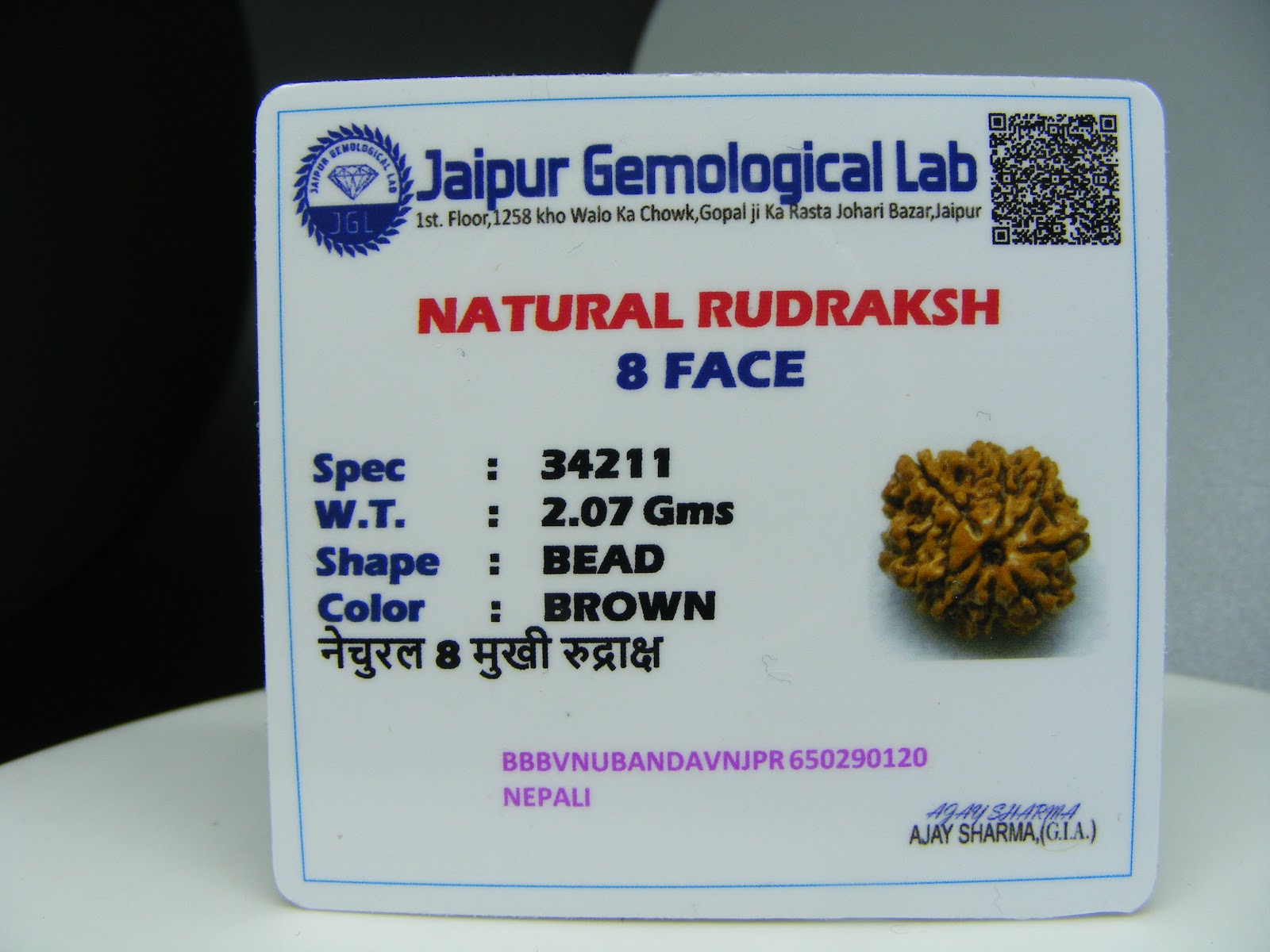 Natural 8 Mukhi Rudraksh
