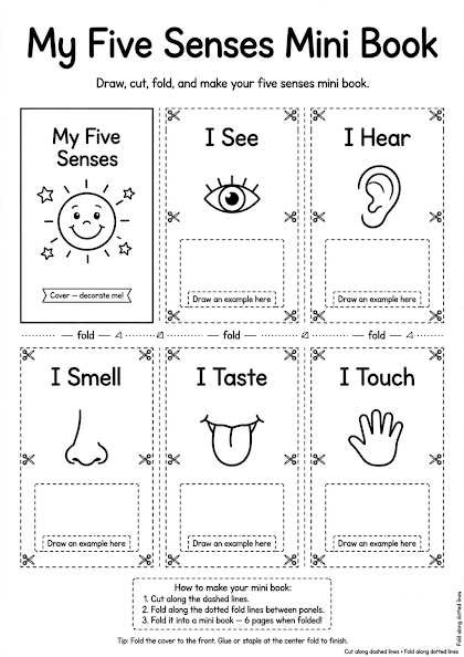 My Five Senses Mini Book