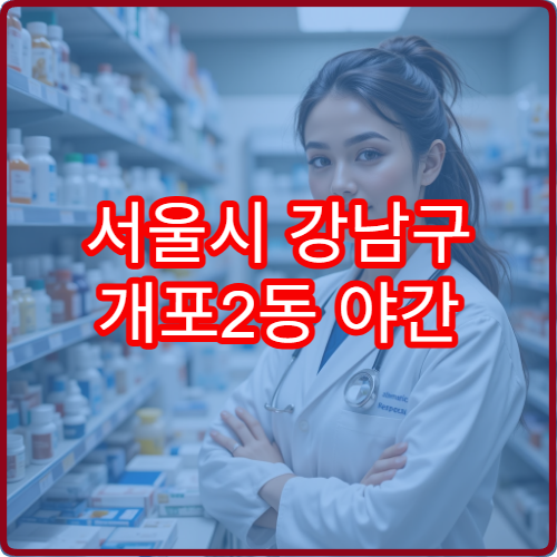 서울시 강남구 개포2동 야간 영업 약국 늦은 밤 약국 찾기