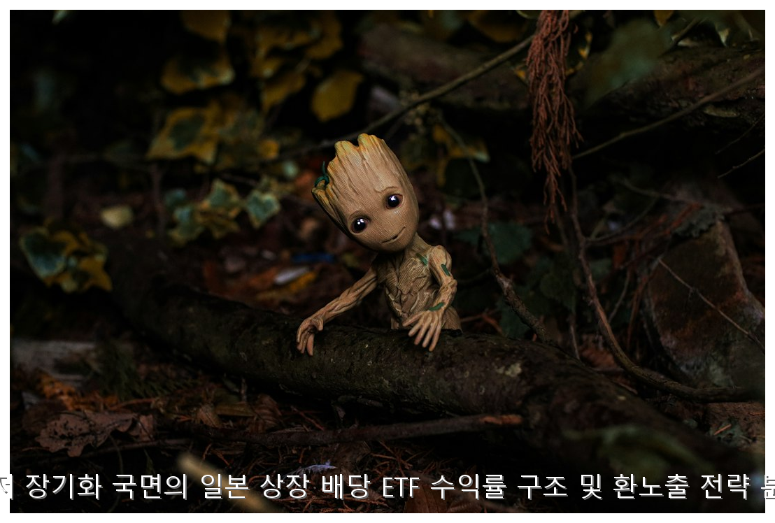 엔저 시대 일본 배당 ETF 투자와 환노출 전략 가이드 핵심 안내 및 분석 인포그래픽 (3)