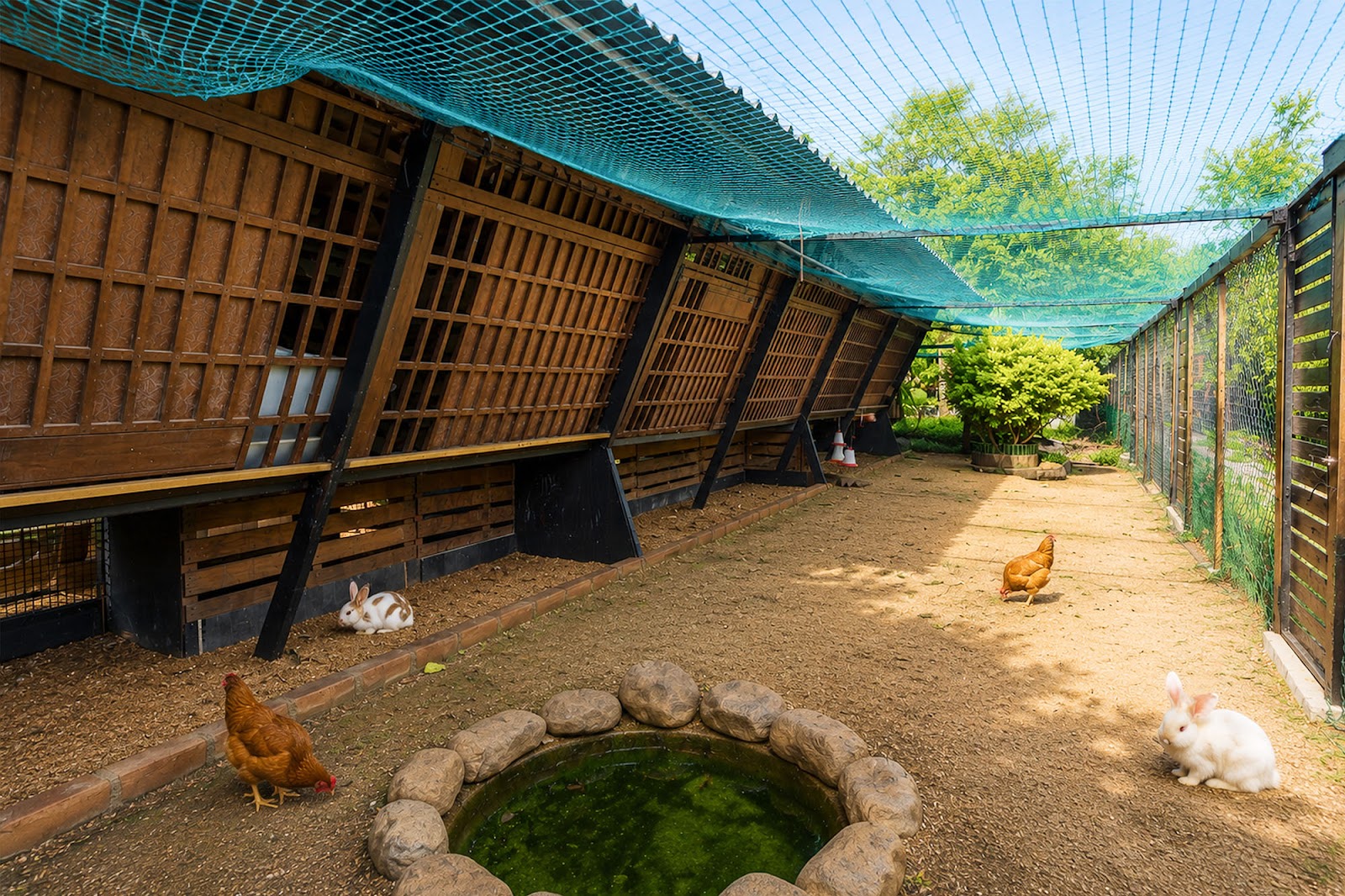 rama villa