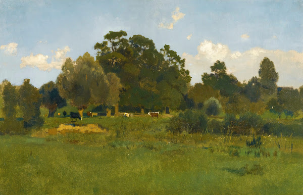 Meadow With Cows