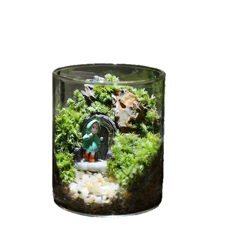 Miniature garden in glass, handcrafted