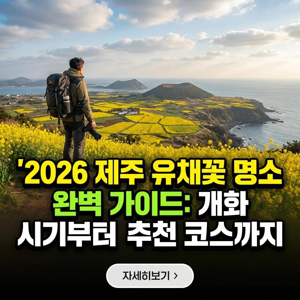 2026 제주 유채꽃 명소 완벽 가이드: 개화 시기부터 추천 코스까지