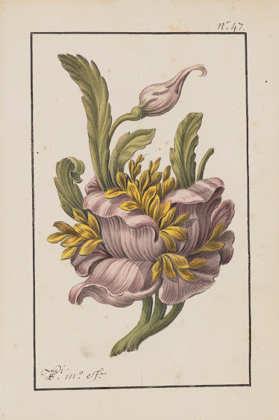 Scherzi Del Colonnello Franco Pl47 18th Century
