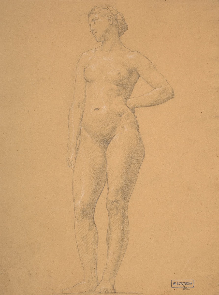 Study of female nude