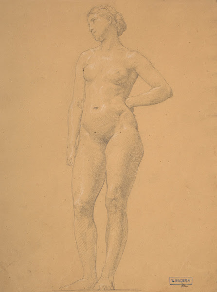 Study of female nude