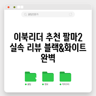 오닉스 북스 팔마2, 이북 리더기 추천, 블랙 화이트 이북, 오닉스 북스 리뷰, 전자책 리더기