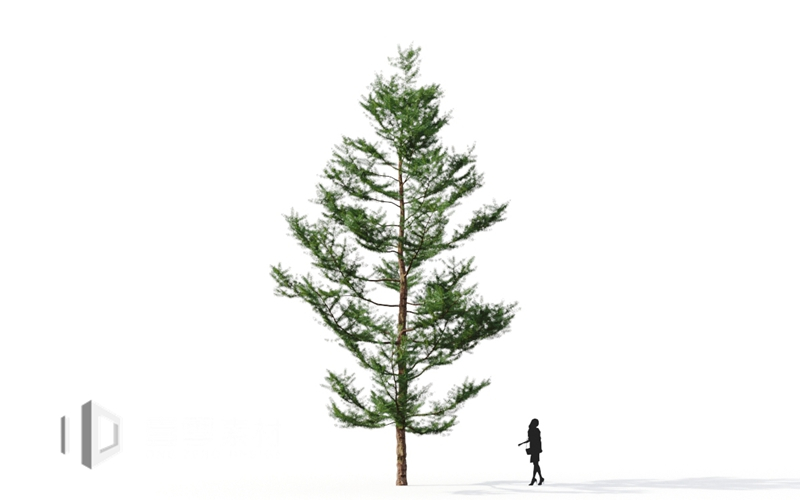 Maxtree - Plant Models Vol.9