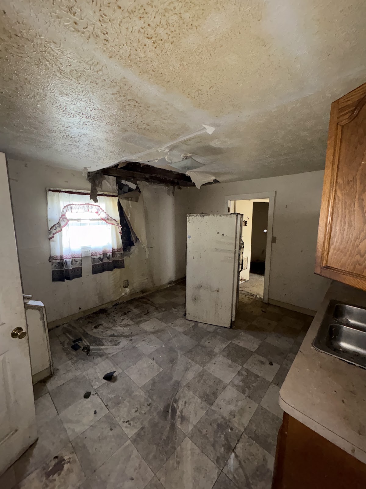 Copy of IMG_8192.HEIC