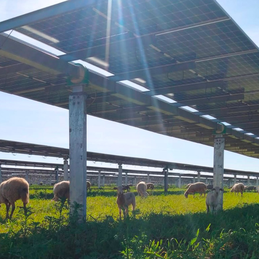 Weltweit größte Wette auf erneuerbare Energien