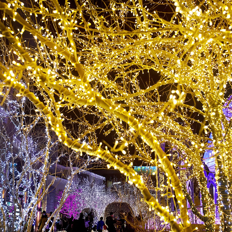 LED light string for indoor and outdoor use