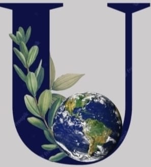 Your World Educational Services