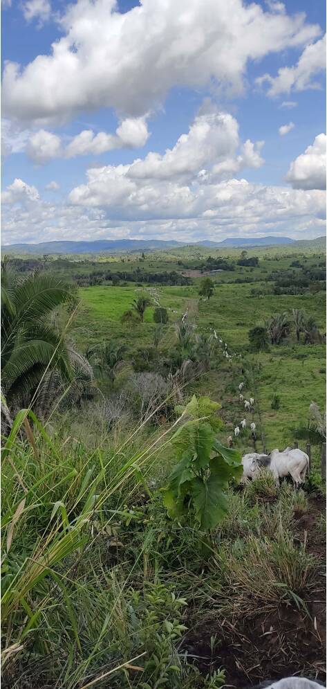 Fazenda em Ourilândia do Norte-PA 2