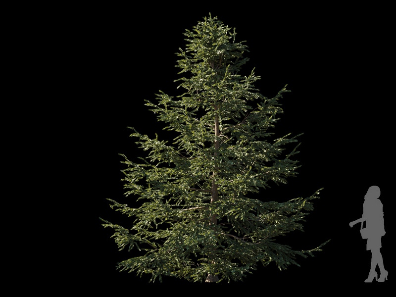 Maxtree - Plant Models Vol.120