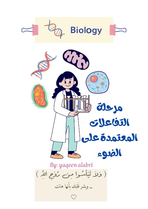 شرح مرحلة التفاعلات المعتمدة على الضوء - أحياء الصف 12 الفصل 2