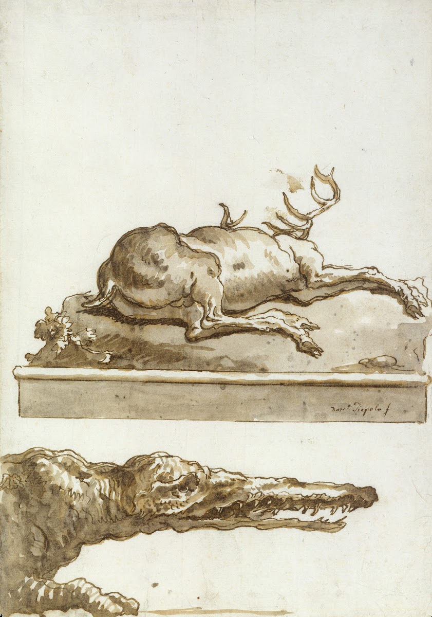 The Head of a Crocodile after 1770