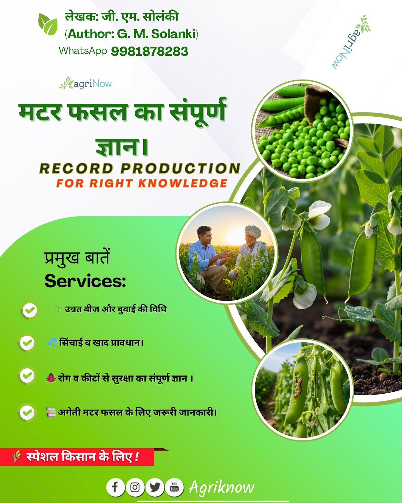 मटर संपूर्ण ज्ञान