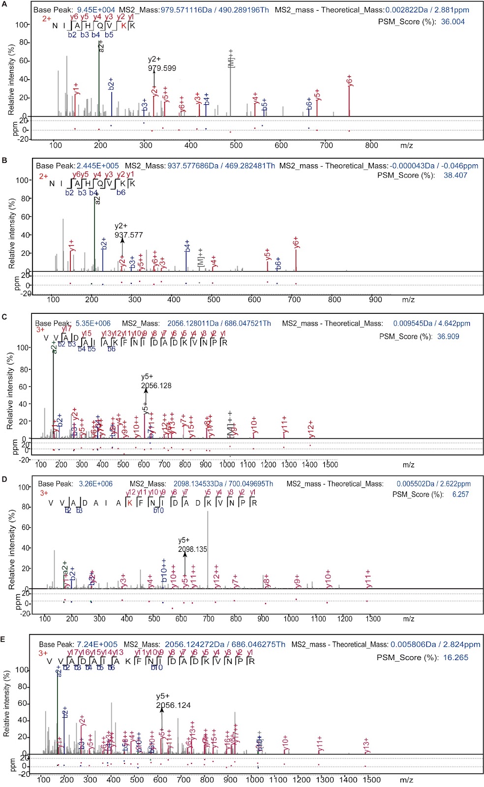 Intracellular acetyl phosphate modulates Escherichia coli pyruvate metabolism
