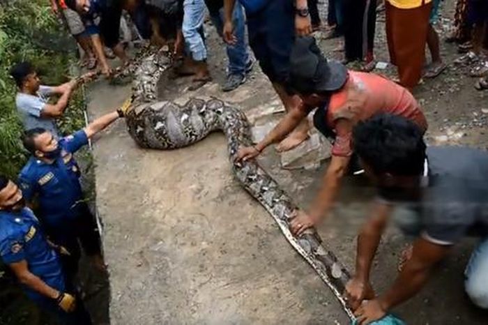 Đang đi dạo, người đàn ông bỗng 'đứng hình' trước cảnh tượng rợn người, dân làng ùn ùn kéo đến xem - Tạp chí Người Đưa Tin