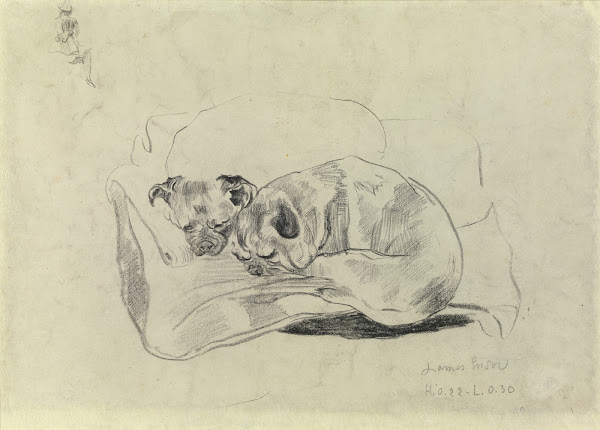 Two Dogs