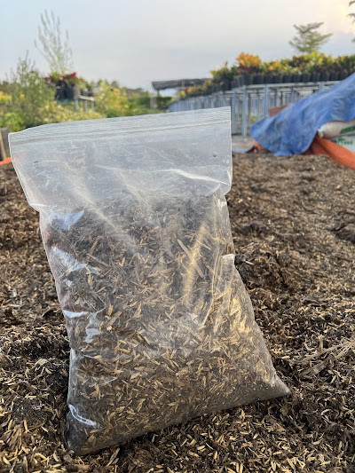 Giá thể trồng cây văn phòng tốt