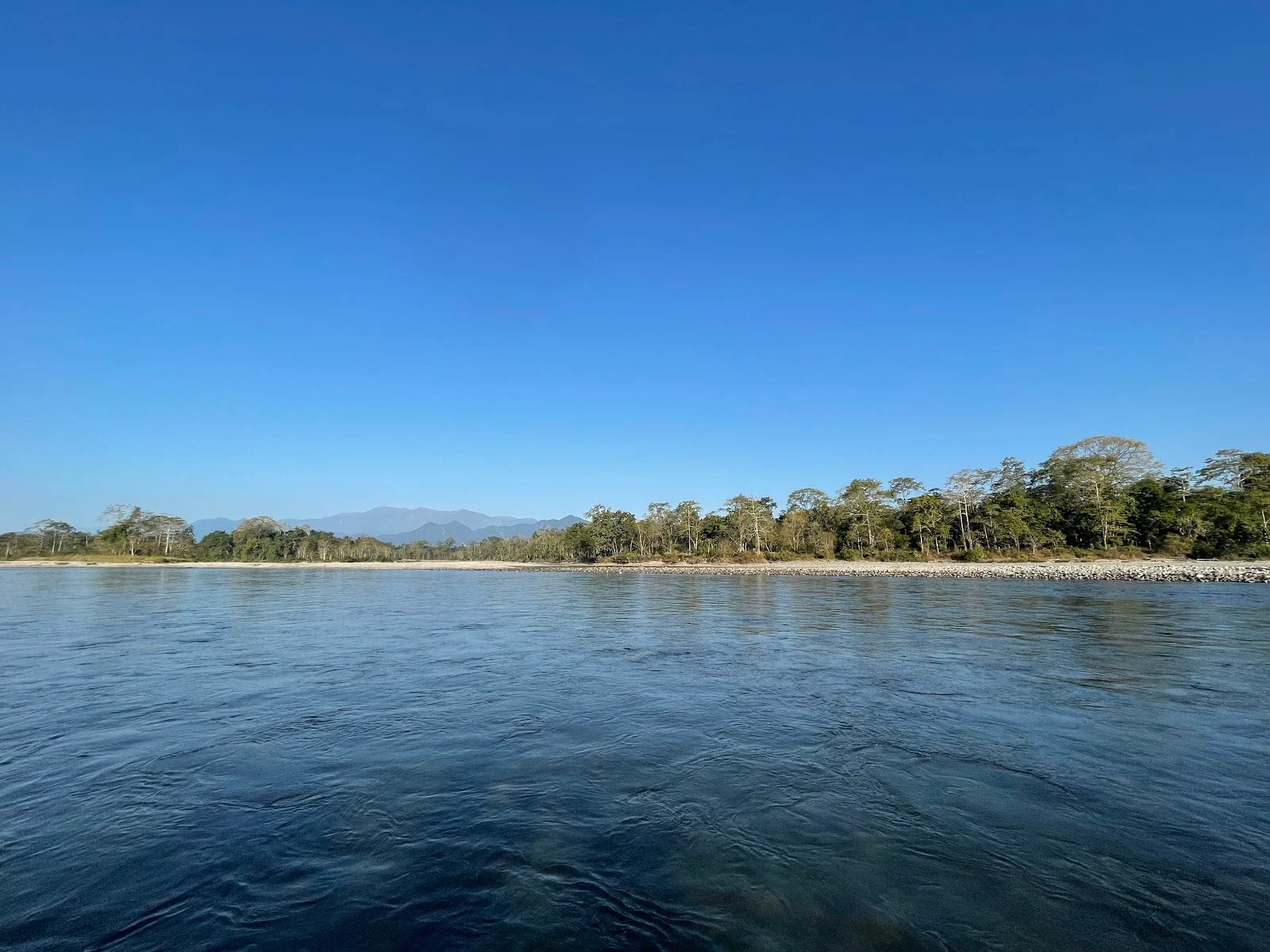 Pakke Wildlife Sanctuary