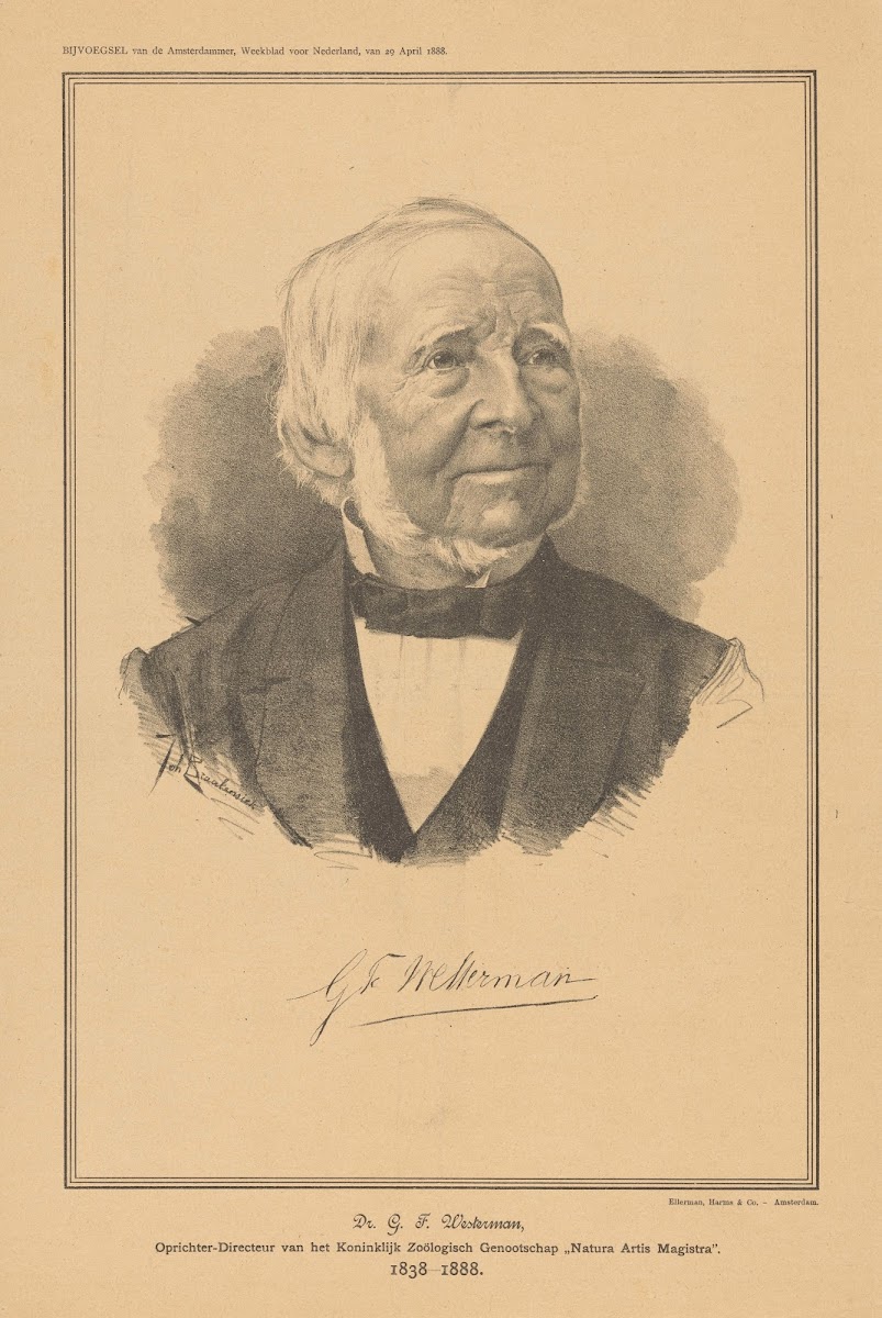 Dr GF Westerman 1888