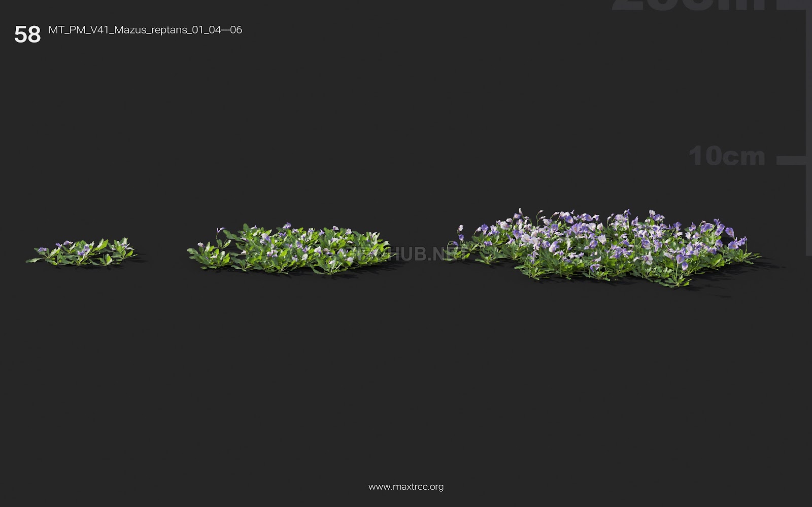 Maxtree - Plant Models Vol.41