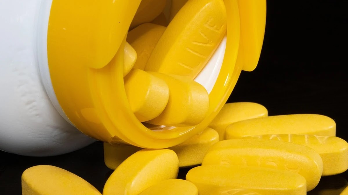 프로바이오틱스 종류별 건강 효과와 복용 팁