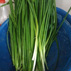 Củ cải trắng, cà rốt gọt vỏ, bào sợi. Hành lá, hẹ rửa sạch, cắt khúc 3cm. Táo, lê, hành tây, gừng, tỏi bỏ vỏ, cắt nhỏ rồi đem xay nhuyễn. Ớt sừng rửa sạch, cắt đôi bỏ hạt và xắt sợi.