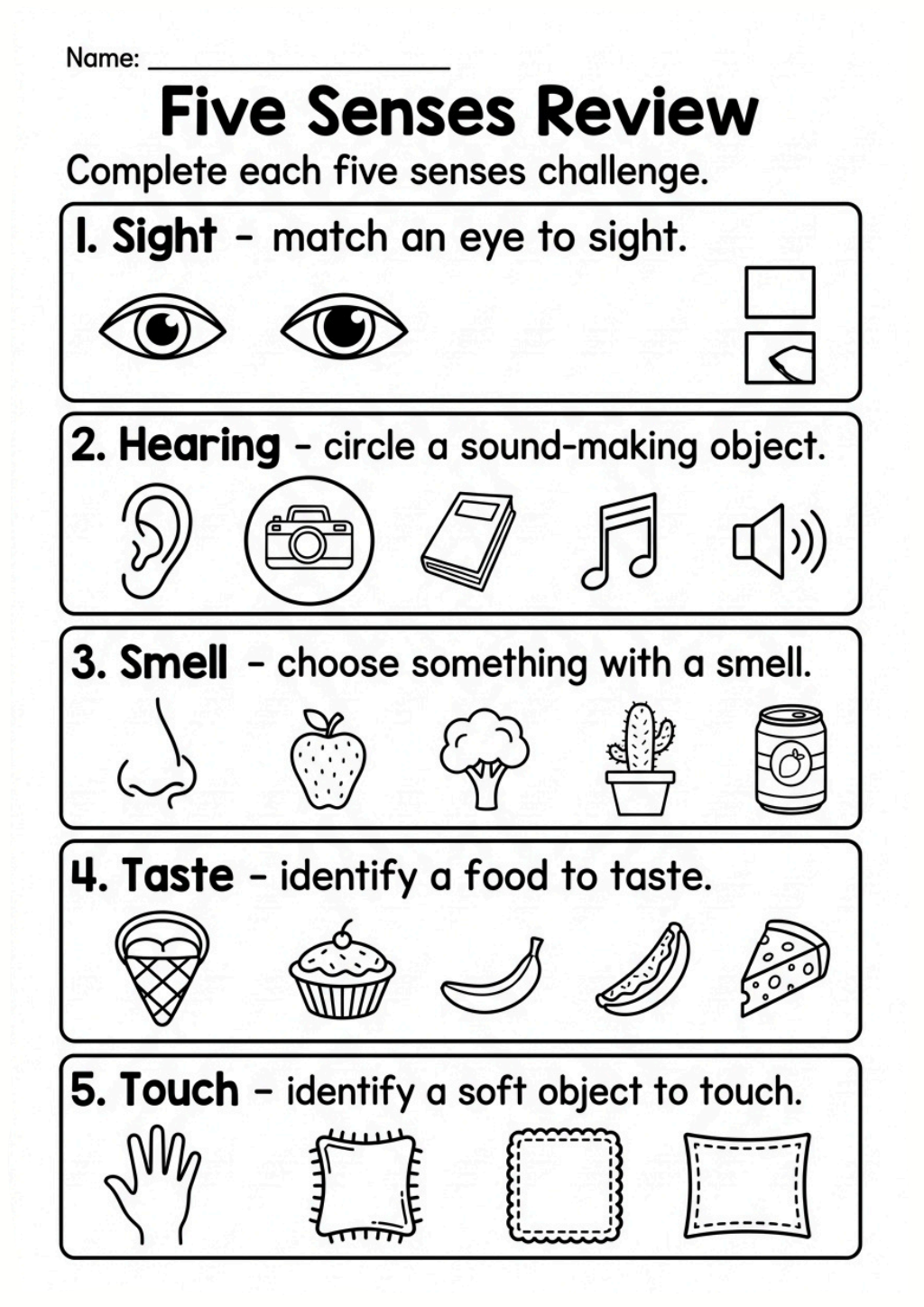 Five Senses Review Worksheet