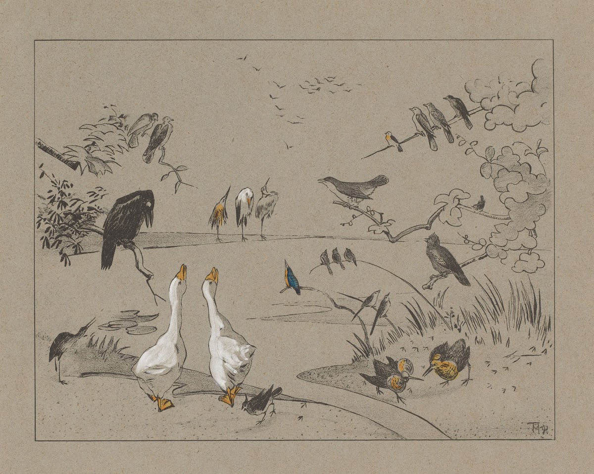 Verschillende vogelsoorten rond een vijver 1892