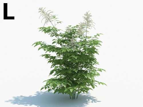 Maxtree - Plant Models Vol.3