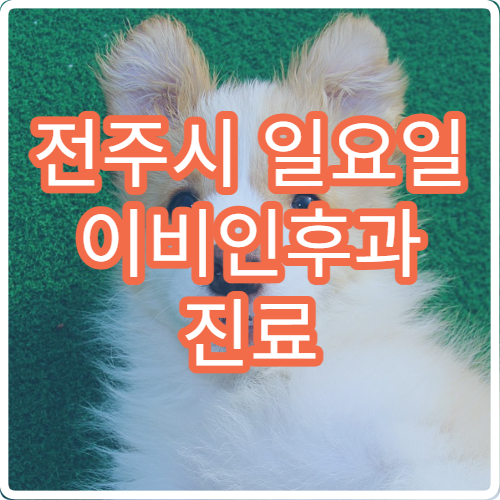 전주시 일요일 이비인후과 진료 병원 – 편도염, 중이염, 코막힘, 인후통 진료 가능