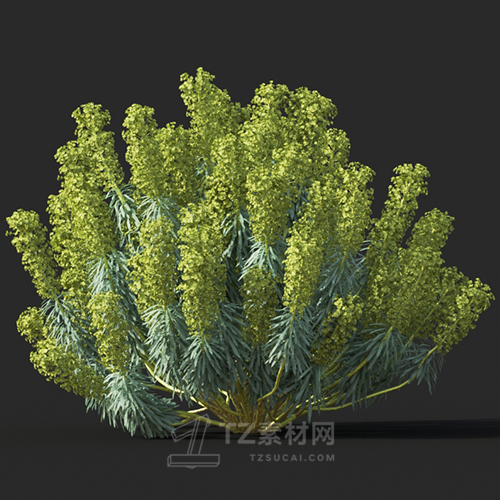 Maxtree - Plant Models Vol.60