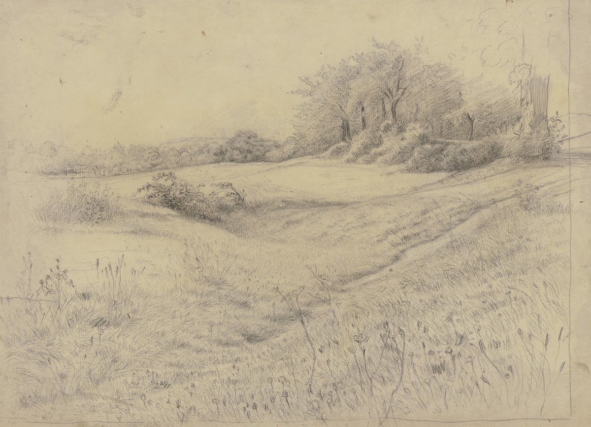Waldlandschaft bei Kronberg 1867