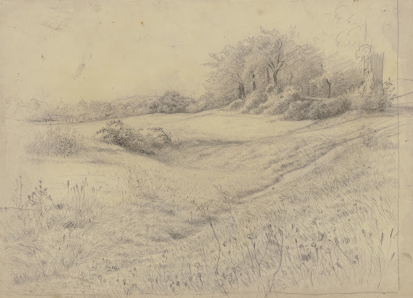 Waldlandschaft bei Kronberg 1867