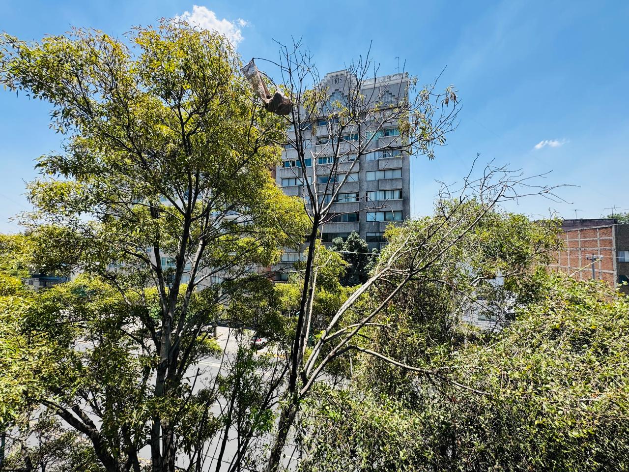 Foto 12