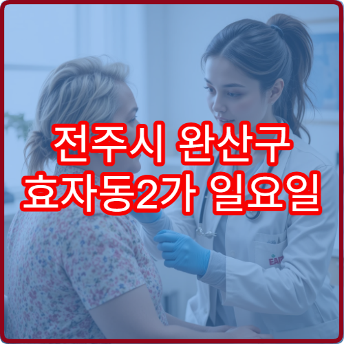 전주시 완산구 효자동2가 일요일 진료 정신건강의학과 스트레스 상담