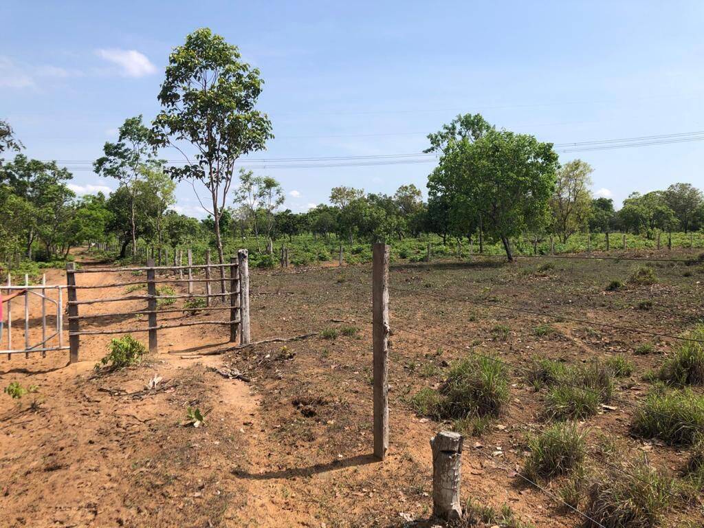 Fazenda em Barra do Ouro-TO 2