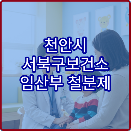 천안시 서북구보건소 임산부 철분제 엽산 무료 지원 신청 방법