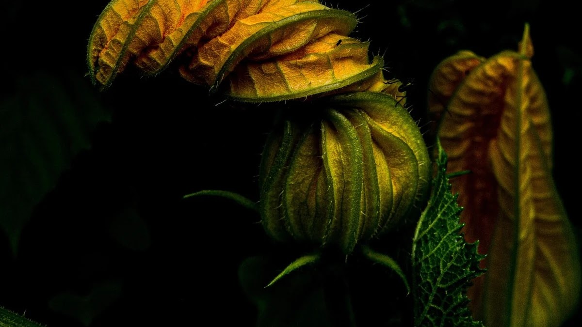 국내 송금과 해외 송금 수수료 체계 및 절약 방법