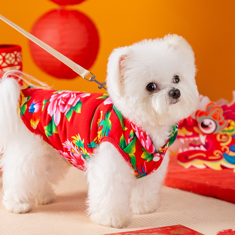 Padded dog coat with leash clip
