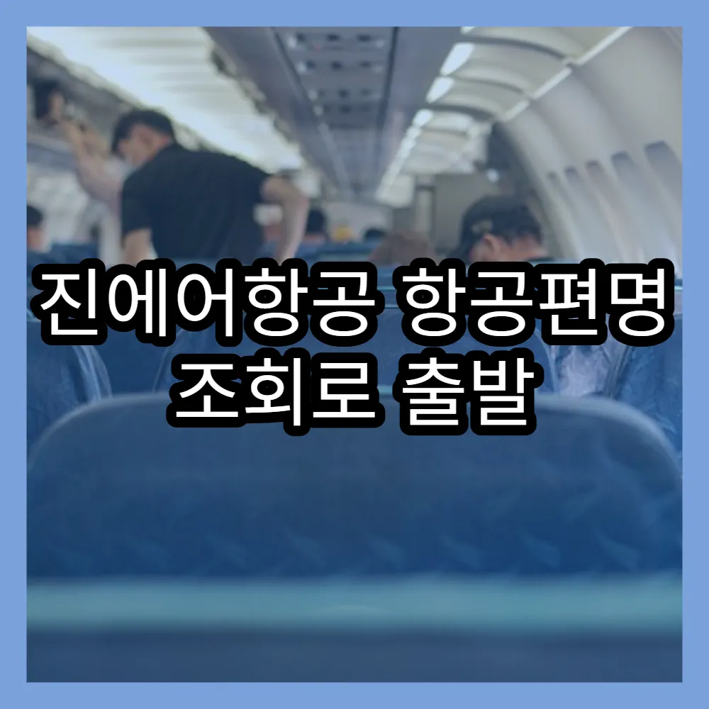 진에어항공 항공편명 조회로 출발 시간 미리 알기