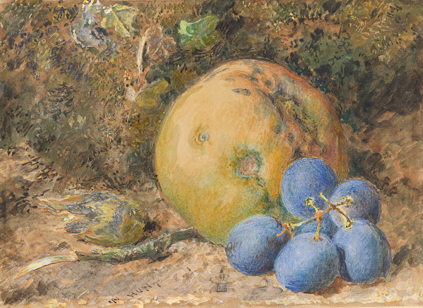 An Apple Grapes and a Hazelnut on a Mossy Bank 183064