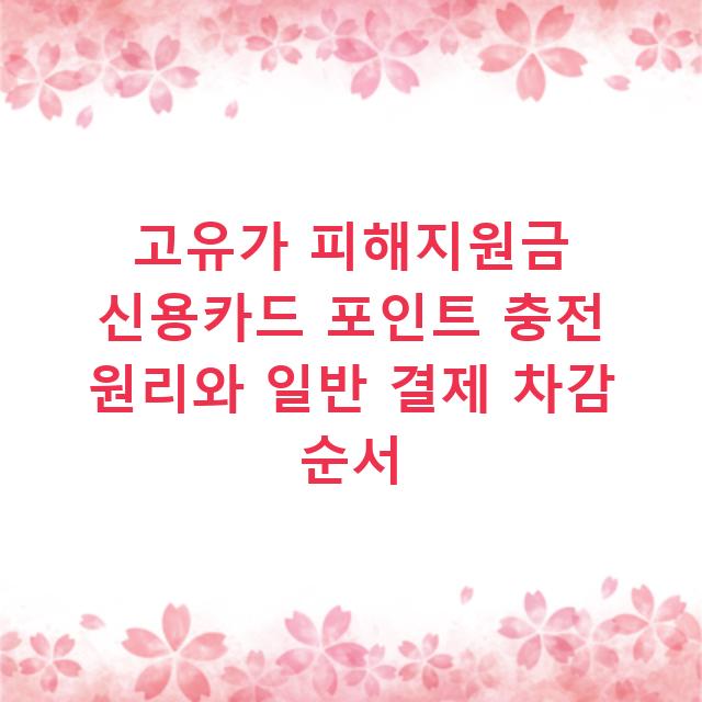 고유가 피해지원금 신용카드 포인트 충전 원리와 일반 결제 차감 순서