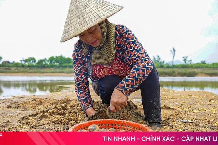 Về Cẩm Lạc xem người dân thu hoạch 'lộc sông' - Báo Hà Tĩnh